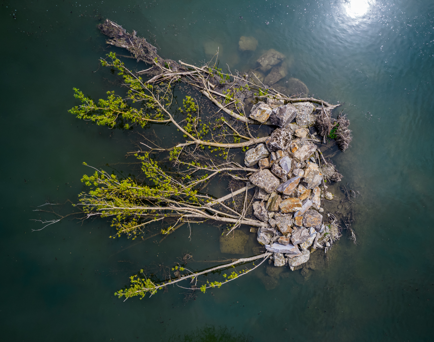 A current breaker can be seen in the Altenwörth fish migration aid, consisting of large rocks and stones as well as green plants. The current breaker serves as a nesting place for living creatures and is therefore placed in the centre of the dark blue water to break the current properly.