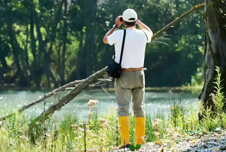 A man in yellow rubber boots and a white shirt from project partner LIFE looks into the distance from the riverbank with binoculars. You can see him from behind in the front of the picture, standing in the sun next to a tree surrounded by bushes. At the back of the picture, the river shimmers in a clear blue. Behind the river is a lush green forest, which also shines in the sunshine.