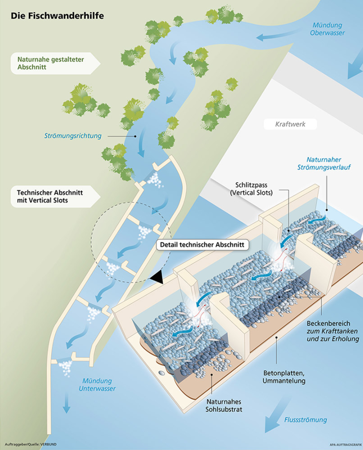 The picture shows a graphic that explains how various fish migration aids work. At the top you can see how the water flows into a near-natural section before the power station. In the area of the power station, where there is a difference in height before and after the power station, vertical sections have been created for fish, where pools have been set up for recreation in order to make the descent and ascent as gentle as possible for fish. The lower section shows how the fish migration aid flows back into the river.