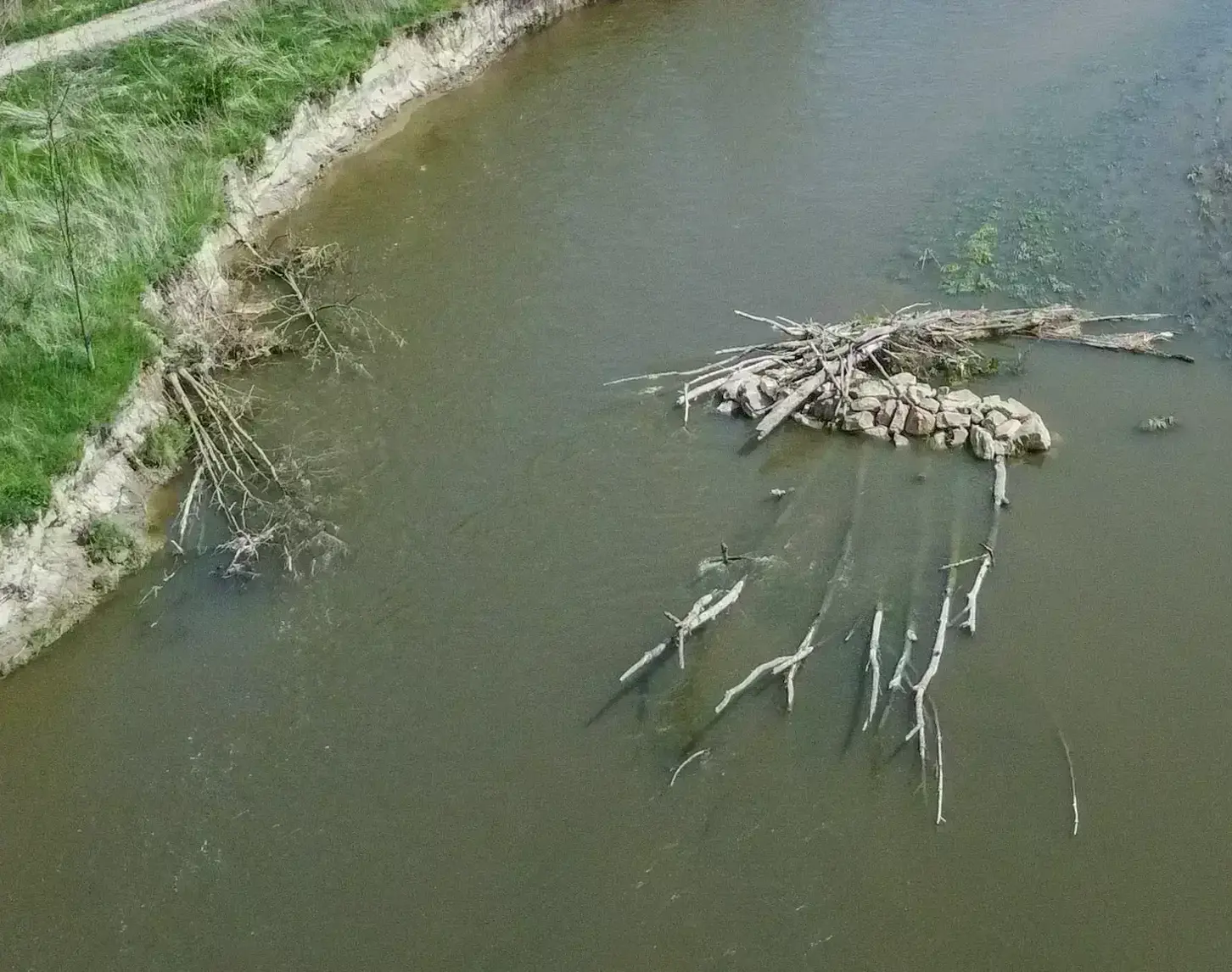 The picture shows a small section of a newly structured bank. You can see tree trunks and stones as well as gravel that have been placed for fish and other animals. Green aquatic plants and the green-blue water all around can also be seen. On the left is the bank with green plants.